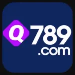 Q789 Game