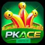 PKACE Game