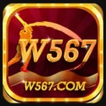 W567 Game
