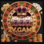 2V Game