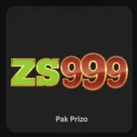 ZS999 Game