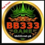 BB333 Game
