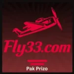 Fly33 Game