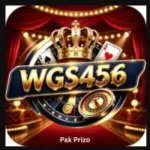 WGS456 Game